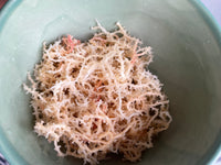 Sea Moss (Spinosum)